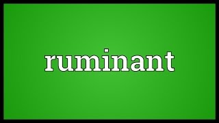 Ruminant Meaning [upl. by Asenej284]