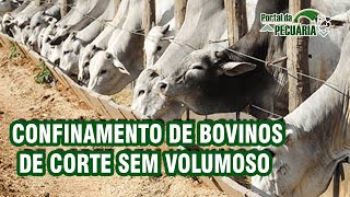 Confinamento de bovinos de corte  sem volumoso [upl. by Joyan]