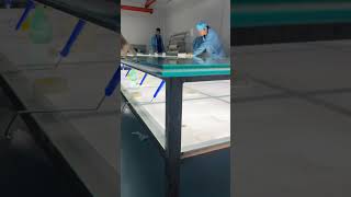 The worker is making film glass and the smart film is sandwished between two pieces of glass [upl. by Coffee]