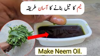 Neem oil banane ka tarika  Make neem oil just in 5 minutes [upl. by Schafer]