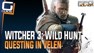 Witcher 3 The Wild Hunt  How to quest in Velen [upl. by Yesnel]