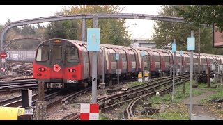 London Underground  Victoria amp Northern Line 8th November 2024 [upl. by Atekehs329]