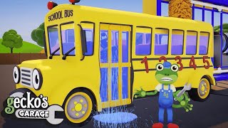 Sammy The School Buss Carwash Washout  Gecko 2D  Learning Videos for Kids [upl. by Jari]