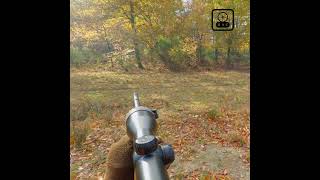 Extrait Tir Battue en Sologne Grands gibiers part 2 chasse hunting [upl. by Amieva]