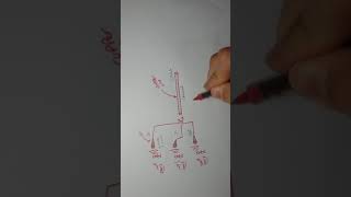 Frequency Division Multiplexing  FDM  شرح بسيط جدا [upl. by Amelina]