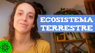 Tipos de ECOSISTEMAS TERRESTRES 🌲🏜️🏔️ Con EJEMPLOS [upl. by Loise]