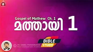 Gospel of Mathew Ch 1 Bible Study Fr Daniel Poovannathil [upl. by Akilegna]