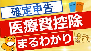 【医療費控除】初心者向け 医療費控除について簡単解説 [upl. by Jacklyn]