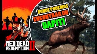 Donde cazar UAPITI o WAPITI LOCALIZACIÓN EN RED DEAD REDEMPTION 2  RDR2 [upl. by Edaw]