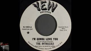 The Intrigues  Im Gonna Love You  1969 2 [upl. by Greggory]