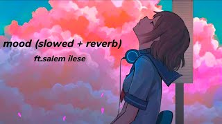 ftSalem ilese  Mood Lofi slowed  reverb [upl. by Virgina927]