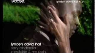 Lynden David Hall  Sexy Cinderella 1997  Official music video  videoclip [upl. by Sokil]