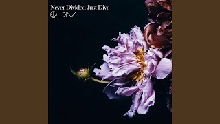 Never Divided Just Dive [upl. by Lias]