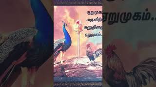 God Murugappa vettri vel murugan tamil [upl. by Nealey]