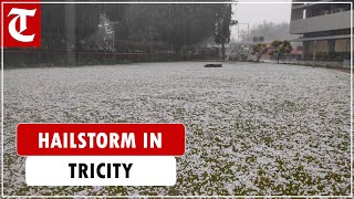 Hailstorm in Chandigarh Kharar Mohali as rain lashes Punjab Haryana [upl. by Schreib]