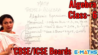 Class 6 Maths Chapter 11 Algebra Part 1 [upl. by Acinomaj233]