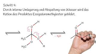 Die säurekatalysierte Veresterung  Reaktionsmechanismus  Organische Chemie [upl. by Odyssey]