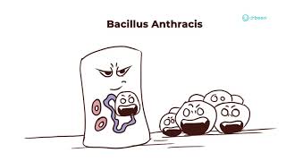 Bacillus Anthracis  Properties Pathology Disease Management Approach [upl. by Lory]