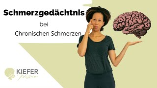 Schmerzgedächtnis  Entstehung amp Wirkweise [upl. by Hanikahs]