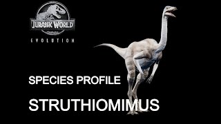 Struthiomimus  Species Profile [upl. by Opiak]