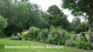 Impressionen aus dem botanischen Garten in Akureyri [upl. by Aitnic595]