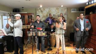 Fajardo Jr Y Sus Estrellas perform Quedate [upl. by Hogen]