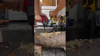 Dewalt dcd999 vs Milwaukee 2904 shorts short [upl. by Licna]