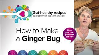 Gut Health Recipe How to Make a Ginger Bug with Martha Carlin and sugar Shift [upl. by Eenet599]