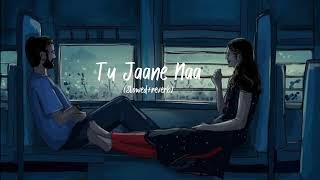 Tu Jaane Na  Atif Aslam song Slowed  reverb ranbirkapoor love [upl. by Tamara639]