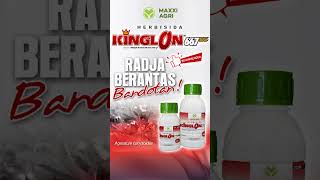 maxxiagri  herbisida KINGLON 667EC Radja Berantas gulma babadotan Bandel tuntas shorts [upl. by Lexa163]