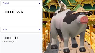 mmmm cow around the world meme [upl. by Aillicec]