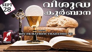 HOLY MASS LIVE  6 AM 28 SEPT 2024FR MATHEW THADATHIL VCMALAYALAM QURBANATODAY MASSGOODNESS TV [upl. by Massab]