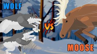 Wolf vs Moose  Wolf vs Animals Level Challenge S1  Animal Animation [upl. by Jarid744]