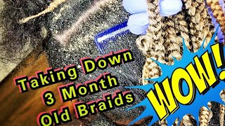 ODDLY SATISYFING DANDRUFF SCRATCHING FLAKES SEBORRHEIC DERMATITIS SCRATCHING AND REMOVAL [upl. by Bobbee383]