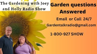 Seg 4 of S8E33 garden questions answered black walnut tree irrigations lines in winter Radio [upl. by Mauri43]