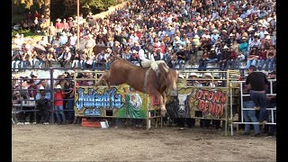 LOS DESTRUCTORES DE MEMO OCAMPO JARIPEO EN LA CAÑADA MICHOACÁN 22 DICIEMBRE 2022 [upl. by Wini145]