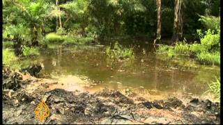 UN slams Shell over Nigeria oil pollution [upl. by Depoliti]