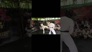 Why you play taekwondo  video taekwondo gym reels fitness shorts ytshorts viral tiktok 1k [upl. by Nabila906]