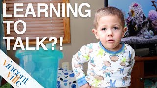 Learning To Talk  Autism Language Development [upl. by Dalohcin]