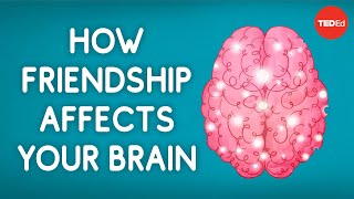 How friendship affects your brain  Shannon Odell [upl. by Bourne]