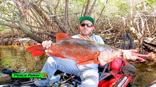 Enorme PARGO en el MANGLAR MI RECORD personal [upl. by Eboj]