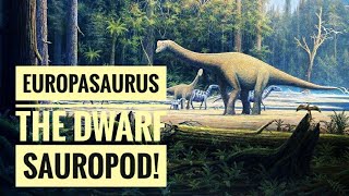 Europasaurus  The dwarf sauropod Descriptions [upl. by Ettennyl139]