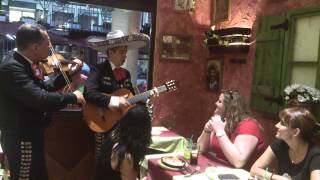 Restaurante mexicano Cantina mariachi Barcelona con mariachis en vivo en Barcelona [upl. by Solahcin754]