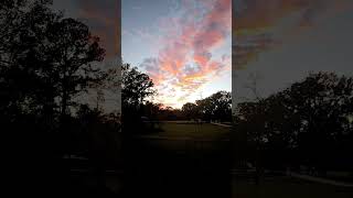 104 sunset in beaumont texas [upl. by Nus]