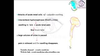 Lec 4 Hydronephrosis Clinical Features [upl. by Remoh491]