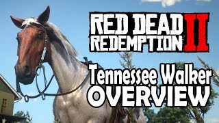 Red Dead Redemption 2 Horses  Tennessee Walker Overview [upl. by Niwrud]