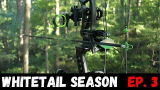 BOWHUNTING Early Season WHITETAILS Pennsylvania [upl. by Docile]