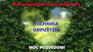 Dr Joseph Murphy TECHNIKA ODPUŠTĚNÍ  Audiokniha Moc podvědomí [upl. by Nor]