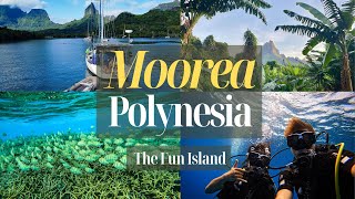 Moorea the most fun island in French Polynesia  Best things to see and do in a week [upl. by Medlin]