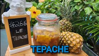 TEPACHE [upl. by Festa560]